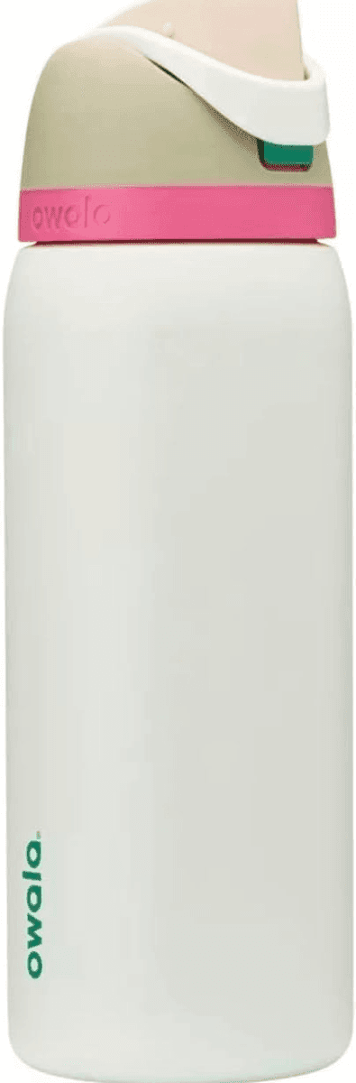 Owala FreeSip Insulated Stainless Steel Water Bottle, 32 Oz, Alpine Sport