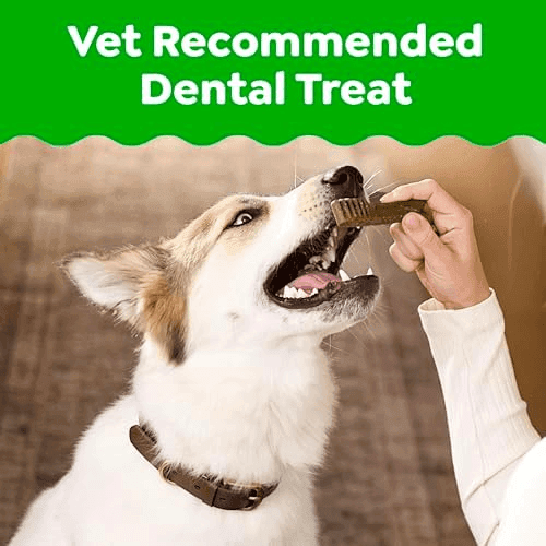 Greenies Large Dental Dog Treats, 24 Count image 2